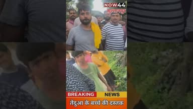 सुल्तानपुर में तेंदुएं के बच्चे की दस्तक से दहशत #now44news #ytshorts #breakingnews #up #sultanpur