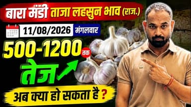 11 August 2026 बारा मंडी लहसुन भाव #आज के ताजा मंडी लहसुन भाव#today garlice price #मंडी भाव#