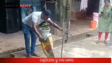 ବାମରା ପଣ୍ଡରିପଥରରେ ଘରେ ପଶିଲା ନାଗ ସାପ, ସର୍ପମିତ୍ରଙ୍କ ଦ୍ୱାରା ଉଦ୍ଧାର