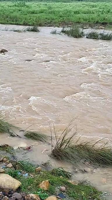 हरनोटा खड्ड/ लगातार पहाड़ों में हो रही है बारिश जरूरी काम है तो तभी ही निकलेंगे घर से