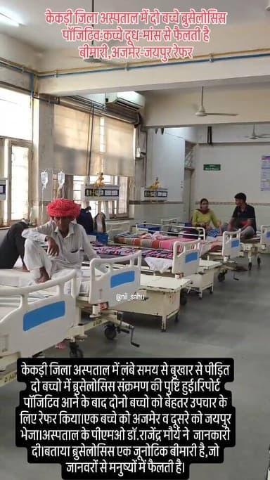 केकड़ी जिला अस्पताल में लंबे समय से बुखार से पीड़ित दो बच्चो में ब्रुसेलोसिस संक्रमण की पुष्टि हुई।रिपोर्ट पॉजिटिव आने के बाद दोनो बच्चो को बेहतर उपचार के लिए रेफर किया।एक बच्चे को अजमेर व दूसरे को जयपुर भेजा।अस्पताल के पीएमओ डॉ.राजेंद्र मौर्य ने जानकारी दी।बताया ब्रुसेलोसिस एक जूनोटिक बीमारी है,जो जानवरों से मनुष्यों में फैलती है...|| #brucellosis #viral #kekri #hospital #newsupdate