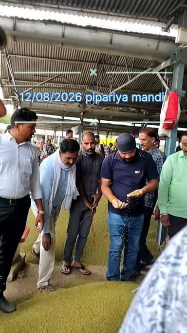 12/08/2026 pipariya mandi #viral #mandi #rice