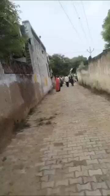माजरी कलां में खूनी विवाद, युवक से बेरहमी से मारपीट का वीडियो वायरल नीमराणा। माजरी कलां गांव में