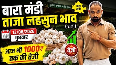12 August 2026 बारा मंडी लहसुन भाव #आज के ताजा मंडी लहसुन भाव# today garlice rate# मंडी लहसुन भाव#