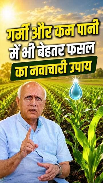 Heat Stress: गर्मी और कम पानी में भी बेहतर फसल का नवाचारी उपाय