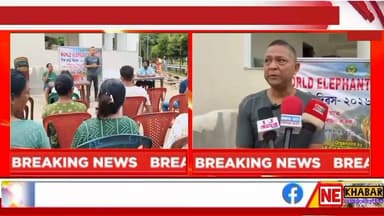 📌 গোৱালপাৰাত Nature's Beckonৰ উদ্যোগত বিশ্ব হস্তী দিৱস উদযাপন
গোৱালপাৰাৰ পৰা চিণ্টু নাথৰ প্ৰতিবেদন
#nekhabar #assam #goalpara #agia