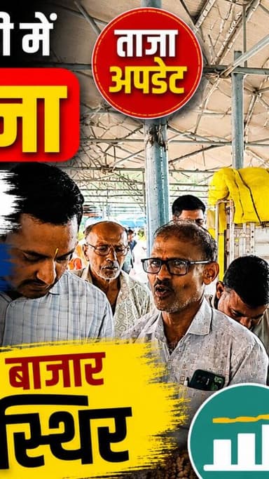 आज धामनोद मंडी में डॉलर चना का भाव इस प्रकार रहा...
डॉलर चना का बाजार लंबे समय से स्थिर, आवके नहीं होने से माल क्वालिटी की आवक कम, जिससे भाव कम दिख रहे...
13 अगस्त 2026
Dhamnod Mandi Bhav
.
.
.
.
.
.
.
.
.
.
.
.
.
.
.
#dhamnodmandibhav #dhamnodmandi #dollarchanamandibhav #dollarchanamandi #mandinews