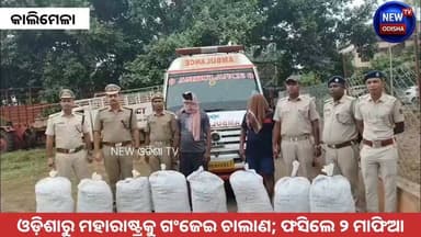 ଓଡ଼ିଶାରୁ ମହାରାଷ୍ଟ୍ରକୁ ଗଂଜେଇ ଚାଲାଣ; ଫସିଲେ ୨ ମାଫିଆ
#ganjeiseize #ambulance #maharashtra #kalimelapolice #Odisha #newodishatv