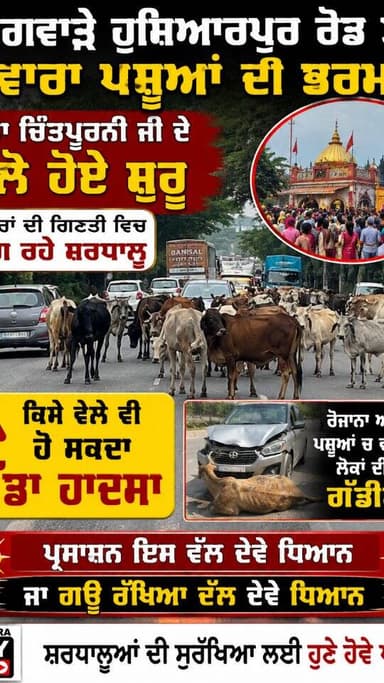 ਫਗਵਾੜੇ ਹੁਸ਼ਿਆਰਪੁਰ ਰੋਡ ਤੇ ਅਵਾਰਾ ਪਸ਼ੂਆਂ ਦੀ ਭਰਮਾਰ
ਮਾਤਾ ਚਿੰਤਪੂਰਨੀ ਜੀ ਦੇ ਮੇਲੇ ਹੋਏ ਸ਼ੁਰੂ
ਹਜਾਰਾਂ ਦੀ ਗਿਣਤੀ ਵਿਚ ਲੰਗ ਰਹੇ ਸ਼ਰਧਾਲੂ
ਕਿਸੇ ਵੇਲੇ ਵੀਂ ਹੋ ਸਕਦਾ ਵੱਡਾ ਹਾਦਸਾ
ਰੋਜਾਨਾ ਅਵਾਰਾ ਪਸ਼ੂਆਂ ਚ ਵਜਦੀਆਂ ਲੋਕਾਂ ਦੀਆਂ ਗੱਡੀਆਂ
ਪ੍ਰਸਾਸ਼ਨ ਇਸ ਵੱਲ ਦੇਵੇ ਧਿਆਨ ਜਾ ਗਊ ਰੱਖਿਆ ਦੱਲ਼ ਦੇਵੇ ਧਿਆਨ #phagwaracitylive #manuchawla #phagwaranews #phagwarakand #Hosiarpurroad