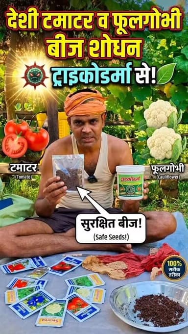 🌱 देसी टमाटर और फूलगोभी के बीजों का ट्राइकोडर्मा से शोधन 🌱
देसी टमाटर और फूलगोभी के बीजों को ट्राइकोडर्मा से शोधित किया जा रहा है। इससे बीजों के अच्छे अंकुरण में सहायता मिलती है और प्राकृतिक विधि से स्वस्थ पौध तैयार करने में मदद मिलती है। 🌿 #farminglifetrending_reels_💸kisan_desi🧒_👳❤️ #shortreelvideo🙏❤️ #देसीबीज Yogendra Prajapati