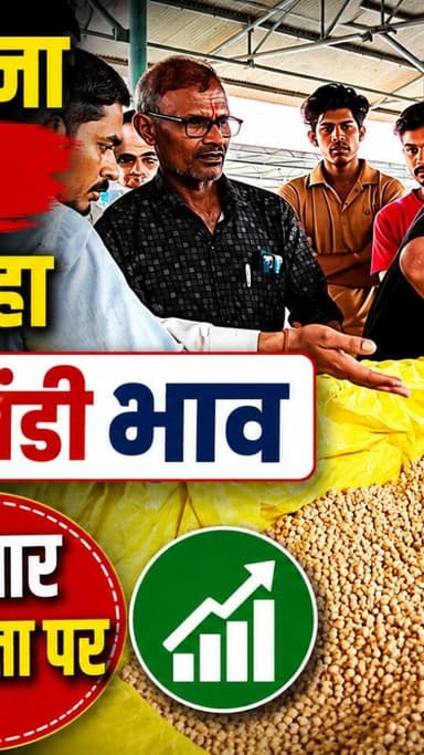 आज धामनोद मंडी में डॉलर चना का भाव इस प्रकार रहा...
आज डॉलर चना ऊपर में 8795 बिका, 8385, 8300, 8150, 8000, 7805, 7650 करके क्वालिटी अनुसार बिका...
14 अगस्त 2026
Dhamnod Mandi Bhav
.
.
.
.
.
.
.
.
.
.
.
.
.
.
.
.
.
#dhamnodmandibhav #dollarchanarates #dollarchanamandibhav #mandinews #mandibhavtoday