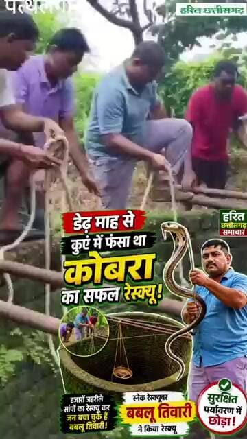 कुएं में तड़प रहा था कोबरा… फिर रेस्क्यूवर ने बचाई जान!पत्थलगांव