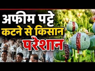 अफीम पट्टे कटने से किसान परेशान | नारकोटिक्स आयुक्त से सुनी समस्याएं #afim_patte #kissan_preshan #mp