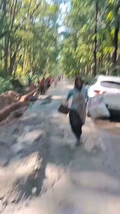 दुधवा-गौरीफंटा रोड पर आया जंगली हाथियों का झुंड
-रोड किनारे चल रहे इंटरलॉकिंग का काम कर रहे मजदूरों में मची भगदड़।