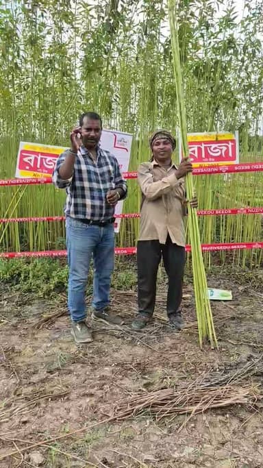 রাজা পাট পাটের রাজা,,,,,,