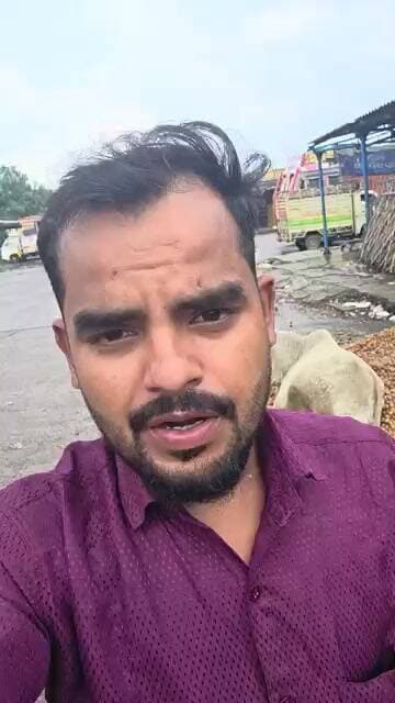 1 रूपए किलो आलू की बात तो छोड़ दो चकरपुर मंडी मे फ्री के आलू को विस्तर बना के सो रहे हैँ आवारा पशु