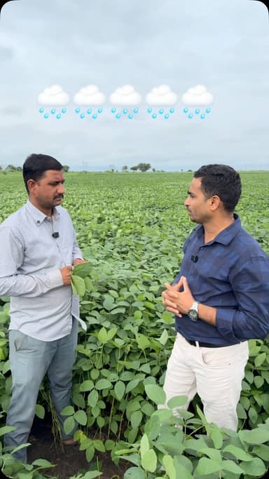 😳इल्लियो का प्रकोप 🐛 🐛
#farmer #soyabean #trendingreels #weather