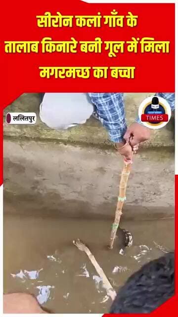 ललितपुर ब्रेकिंग आजादी के 78 साल बाद भी कुम्हेड़ी गाँव की सड़क न बन पाने से बच्चों