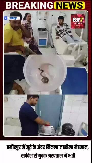 HAMIRPUR UPDATE:जूते में छिपा था काला सर्प, पहनते ही युवक को डंसा!