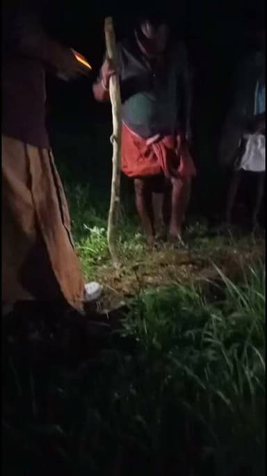 പന്തളം പെരുമ്പുളിക്കലിൽ നിന്നും പെരുമ്പാമ്പിനെ പിടികൂടി