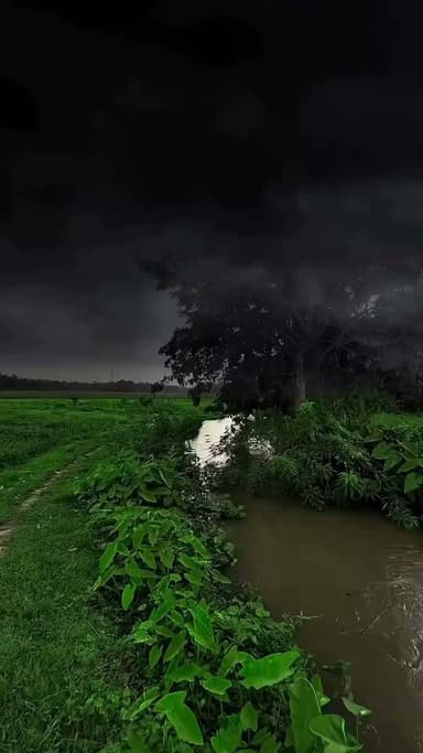 Dark sky.....
#SAROJRAJA #SACHTALKS #TODAY #SITAMARHI #BREAKINGNEWS #MUSIC #NBA #CMNITISHKUMAR #PATNA #NIKKIYADAV #VIRALREELS #VIRALPOST #VLOG #VIRALREELS #BIHARCRIME #JUSTICEFORCHHOTUYADAV #ViralVideo #Teacher #StudentSafety #ChildSafety #Justice #protectchildren
