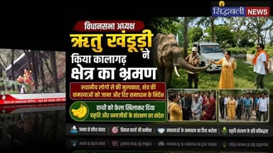 विधानसभा अध्यक्ष ऋतु खंडूड़ी भूषण ने किया कालागढ़ का दौरा, हाथियों को ......
#news #uttarakhand #kotdwar #RituKhanduri #forest