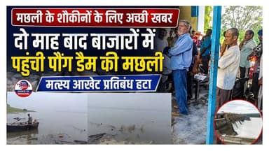 हरिपुर : पौंग डैम की मछली के शौकीनों के लिए अच्छी खबर, दो माह बाद बाजारों में पहुंची
https://youtu.be/rBueBoVy8ew
#kangra #haripur #pongdam #fish #ewn24news #choiceofhimachal #himachallatestnews #himachal #HimachalPradesh