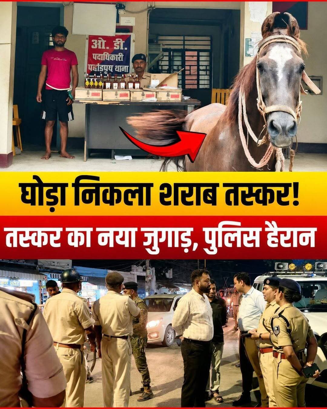घोड़ा निकला शराब तस्कर! 200 बोतल विदेशी शराब के साथ पुलिस ने किया गिरफ्तार
बिहार में शराबबंदी के बीच शराब तस्करों ने पुलिस की आंखों में धूल झोंकने का एक बेहद अनोखा तरीका निकाला है। गाड़ियों और ड्रोन की नजर से बचने के लिए तस्कर अब दुर्गम रास्तों पर 'घोड़ों' का इस्तेमाल कर रहे हैं!
🚨 क्या है पूरा मामला?
पूर्वी चंपारण (मोतिहारी) के पहाड़पुर थाना क्षेत्र में एक्शन मोड में आई पुलिस ने गुप्त सूचना के आधार पर छापेमारी की। इस दौरान एक तस्कर को गिरफ्तार किया गया, जो किसी वाहन पर नहीं, बल्कि घोड़े की पीठ पर शराब की भारी खेप लादकर ले जा रहा था।
📌 मुख्य बिंदु:
👉 बरामदगी: मौके से 53 लीटर (विभिन्न ब्रांड्स की करीब 200 बोतल) विदेशी शराब बरामद।
👉 कार्रवाई: पुलिस ने शराब के साथ-साथ तस्करी में इस्तेमाल हो रहे घोड़े को भी जब्त कर थाने ले आई है।
👉 गिरफ्तारी: आरोपी तस्कर राहुल कुमार (निवासी- नौतन, पश्चिमी चंपारण) को गिरफ्तार कर न्यायिक हिरासत में भेजने की तैयारी की जा रही है।
बिहार में शराब तस्करों के इस नए 'जुगाड़' पर आपकी क्या राय है? अपनी प्रतिक्रिया कमेंट बॉक्स में जरूर दें! 👇
<nis:link nis:type=tag nis:id=biharnews nis:value=BiharNews nis:enabled=true nis:link/> <nis:link nis:type=tag nis:id=liquorbanbihar nis:value=LiquorBanBihar nis:enabled=true nis:link/> <nis:link nis:type=tag nis:id=eastchamparan nis:value=EastChamparan nis:enabled=true nis:link/> <nis:link nis:type=tag nis:id=motiharinews nis:value=MotihariNews nis:enabled=true nis:link/>