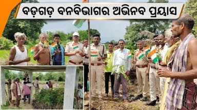 #ବରଗଡ଼_ବନବିଭାଗର_ଅଭିନଵ_ପ୍ରୟାସରେ_ସ୍ୱାଧୀନତା
ଦିବସ ପାଳିତ #Odisha #Ganjamnews #80thbirthdaycelebration #OdishaSangram
