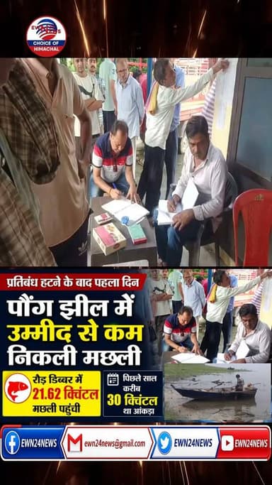 पौंग झील में कम निकली मछली....#kangra #haripur #pongdam #fish #ewn24news #choiceofhimachal