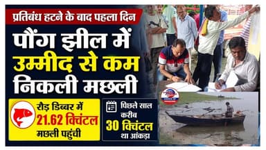 प्रतिबंध हटने के बाद पहले दिन, पौंग झील में कम निकली मछली, रोड़ डिब्बर में 21.62 क्विंटल
https://youtu.be/S5iLN2dDYg4
#kangra #haripur #pongdam #fish #ewn24news #choiceofhimachal #himachallatestnews #himachal #HimachalPradesh