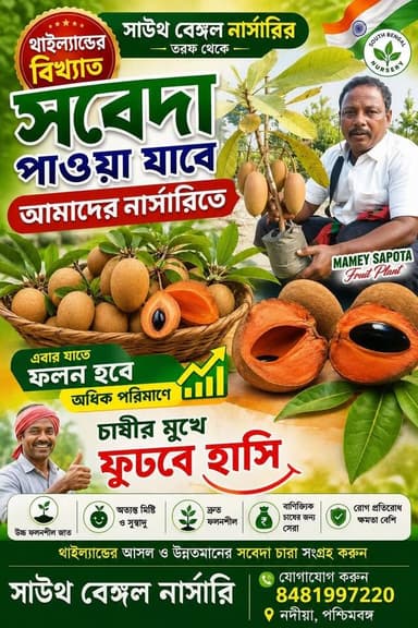 আগামী দিনের সব থেকে জনপ্রিয় হতে চলেছে,,,