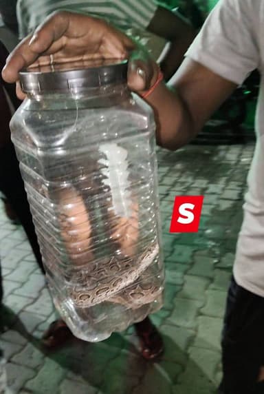 🐍 बाढ़ के बीच हैरान कर देने वाली घटना!
🚨 युवक को सांप ने डसा तो दोस्त जिंदा सांप पकड़कर अस्पताल ले आया!
फर्रुखाबाद के अमृतपुर तहसील क्षेत्र के तीसराम की मड़ैया में बाढ़ के बीच शनिवार देर शाम उस समय हड़कंप मच गया, जब नाव से उतरते समय करीब 22 वर्षीय प्रदीप को सांप ने डस लिया।
प्रदीप की हालत बिगड़ने पर उसके दोस्त अनुज ने गजब की हिम्मत दिखाई। उसने सांप को पकड़कर डिब्बे में बंद किया और घायल दोस्त के साथ जिंदा सांप को भी जिला अस्पताल लोहिया पहुंचा दिया। 😳
अस्पताल की इमरजेंसी में डिब्बे के अंदर जिंदा सांप देखकर डॉक्टर और स्वास्थ्यकर्मी भी हैरान रह गए। चिकित्सक अभय श्रीवास्तव के मुताबिक प्रदीप को एंटी-स्नेक वेनम की 10 डोज दी गई हैं और फिलहाल उसकी हालत स्थिर है।
🌊 बाढ़ के पानी में सांपों का बढ़ा खतरा, ग्रामीण रहें सावधान।
⚠️ ऐसी स्थिति में सांप के काटने पर झाड़-फूंक या घरेलू उपचार में समय गंवाने के बजाय तुरंत अस्पताल पहुंचना बेहद जरूरी है।
#Farrukhabad #Amritpur #Flood #SnakeBite #BreakingNews #FarrukhabadNews #Rajepur #बाढ़ #सांपकेडसने #खबर