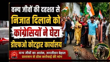 कोटद्वार में जंगली जानवरों के आतंक से सुरक्षा के लिए कांग्रेसियों ने घेरा डीएफओ ऑफिस...
#news #sidhbalinews #uttarakhand #kotdwar #forest #Congress
