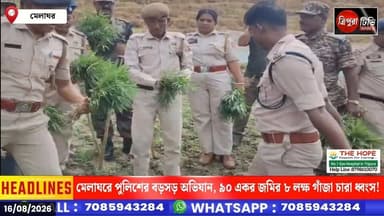 #BigBreakingNews | মেলাঘরে পুলিশের বড়সড় অভিযান, ৯০ একর জমির ৮ লক্ষ গাঁজা চারা ধ্বংস!