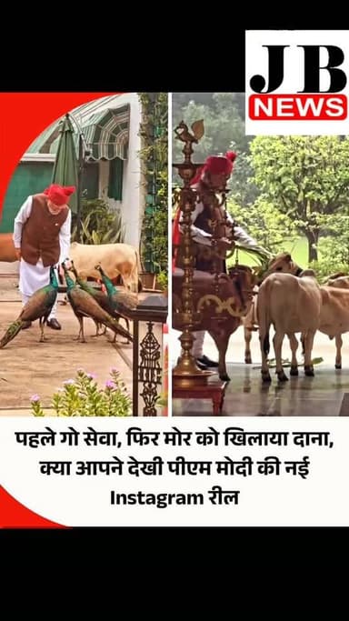 प्रधानमंत्री नरेंद्र मोदी ने अपने अपने Instagram अकाउंट से नई रील शेयर की है। इस रील में प्रधानमंत्री गायों को चारा खिलाते नजर आ रहे हैं। इतना ही नहीं पीएम इस रील में मोर को दाना खिलाते भी दिख रहे हैं। प्रधानमंत्री ने रील के साथ पोस्ट किए कैप्शन में बताया है कि ये रील कब और कहां बनाई गई है।
पीएम मोदी ने कहा कि हर सुबह अपने दोस्तों को खाना खिलाना मेरा डेली रूटीन है। कल सुबह, उन्हें किसी तरह पता चल गया कि मैं जल्दी निकल रहा हूं, इसलिए वे मुझसे मिलने आए। ये सब उस समय हुआ, जब मैं लाल किले के लिए निकल रहा था। हमेशा की तरह स्पेशल!
#PMModi #Viral