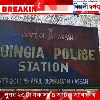 জিনজিয়া আৰক্ষীৰ জালত সঘনাই জব্দ হৈছে গৰু সৰবৰাহকাৰীৰ বাহন,
পুনৰ ২৩ টা গৰু সহ ৪ আটক।✅✅✅#behalidarpan