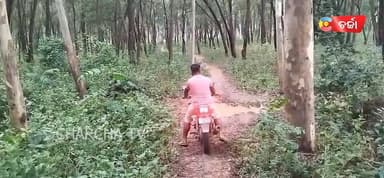 ନାହିଁ ସବୁଦିନିଆ ରାସ୍ତା ..ଯାତାୟତ ବାଧାପ୍ରାପ୍ତ ||charcha news