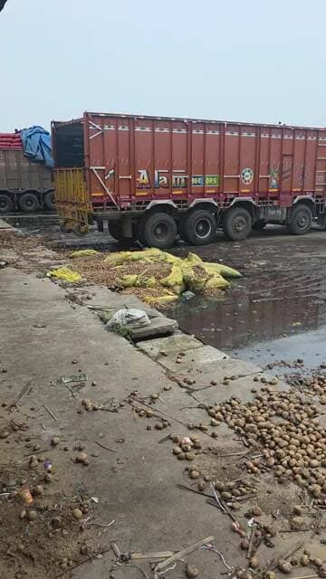 सैंकड़ो पैकेट प्रतिदिन फेका जा रहा हैँ किसानों का आलू किसानों पर नहीं आया अभी तक किसी को तरस