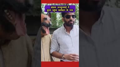 🐶 नसबंदी में भ्रष्टाचार की शिकायत लेकर जनसुनवाई में पहुंचा अनूठा डॉगी! #Khandwa #जनसुनवाई