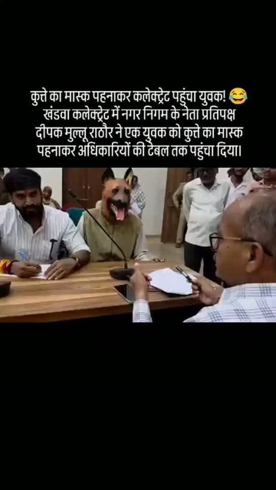 कुत्ते का मास्क पहनाकर कलेक्ट्रेट पहुंचा युवक! 😂
खंडवा कलेक्ट्रेट में नगर निगम के नेता प्रतिपक्ष दीपक मुल्लू राठौर ने एक युवक को कुत्ते का मास्क पहनाकर अधिकारियों की टेबल तक पहुंचा दिया।
आरोप है कि आवारा कुत्तों की नसबंदी के नाम पर 4 साल में ₹40 लाख खर्च किए गए, लेकिन जमीन पर काम नजर नहीं आया।
ऊपर से अस्पताल के आंकड़ों के मुताबिक इसी दौरान 13,225 लोग डॉग बाइट का शिकार हुए। 🐕🦺😳
अब एडीएम काशीराम बड़ोले ने मामले की जांच के आदेश दिए हैं।