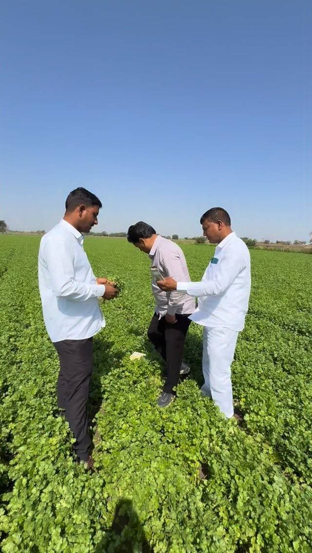 अपनी फसल को पानी के भाव ना बेचे,,व्यापारियों को दिखाने के बाद
एक बार इनसे संपर्क करे!
#kisan #dhaniya #corrinder #farminglife #trendingreels