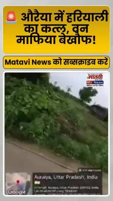 औरैया मे पनप रहे लकड़ी माफिया, video तेज़ी से वायरल #grievanceofficer #shorts