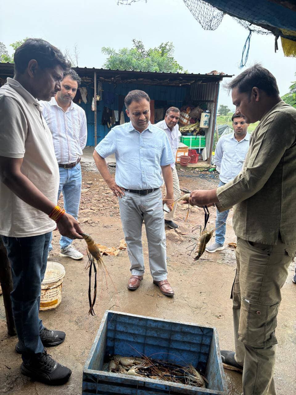 मत्स्य महासंघ के एमडी श्री चौधरी ने बारना जलाशय में झींगा पालन कार्य का किया निरीक्षण
–––
–––
मुख्यमंत्री जन-विश्वास अभियान के तहत शुक्रवार को मत्स्य महासंघ के एमडी श्री अनुराग चौधरी द्वारा बारना जलाशय में झींगा पालन कार्य का निरीक्षण किया गया। उन्होंने मध्यप्रदेश एकीकृत मत्स्य उद्योग नीति 2026 अंतर्गत उद्यमियों द्वारा लगाए जा रहे केजो के संबंध में चर्चा कर सहायक संचालक मत्स्य श्री धर्मेन्द्र परिहार तथा संबंधित अधिकारियों से जानकारी ली। साथ ही वेकवर्ड एवं फारवर्ड योजना अंतर्गत जल संसाधन विभाग के एसडीओ से भूमि चिन्हांकन के संबंध में जानकारी लेते हुए दिशा-निर्देश दिए। इस अवसर पर संबंधित अधिकारी उपस्थित रहे।
#Raisen Jansampark Madhya Pradesh JDjansampark Bhopal Department of Fisheries, Madhya Pradesh