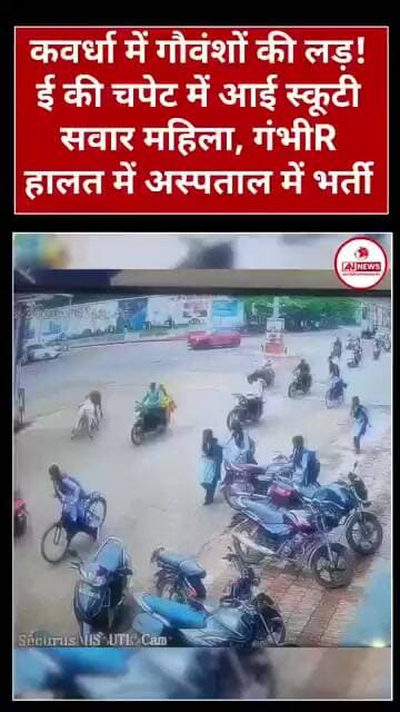 कवर्धा सिग्नल चौक में मवेशी का झगड़ा स्कूटी सवार महिला घायल
