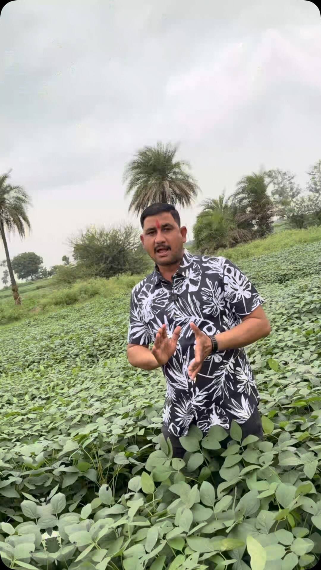 ⛈️बारिश की लंबी खींच,, बीमारियां बढ़ेगी 🌱
#farmer #weather #upl #trendingreels #madhyapradesh