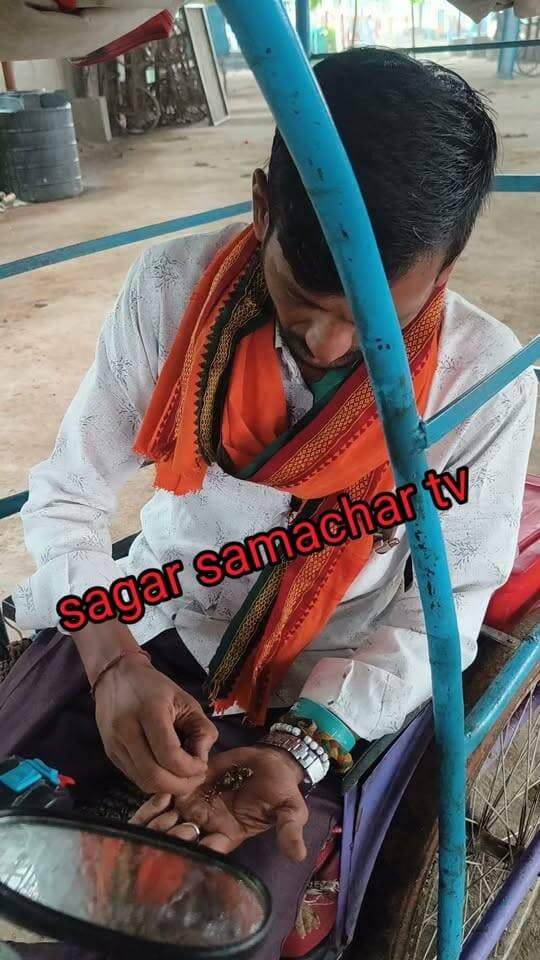 यहां खुलकर बिक रहा गांजा? कहां है नशा मुक्ति अभियान और इसे रोकने वाले जब यहां ये हाल है तो बाकी जगह क्या होगा #cmomadhyapradesh #PMOIndia #dgpmppolice