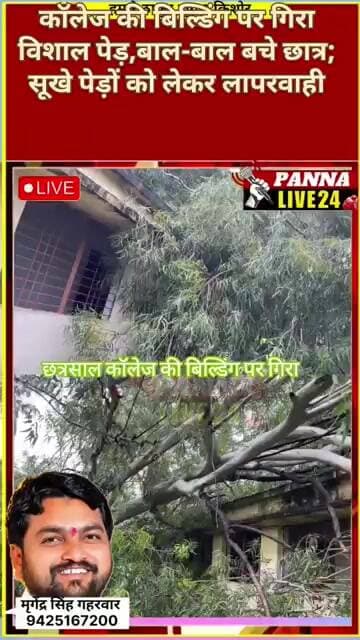 छत्रसाल कॉलेज की बिल्डिंग पर गिरा पेड़, टला बड़ा हादसा