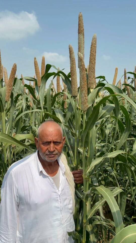 ऐसा बाजरा नहीं देखा होगा आपने
#रील #facebook #Alwar_Rajasthan #बाजरा