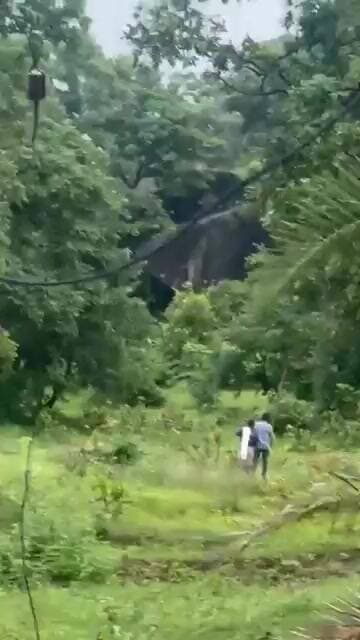 देवकोंगेरा की पहाड़ी पर तेंदुआ दिखने से ग्रामीणों में दहशत, मवेशियों की सुरक्षा को लेकर चिंता